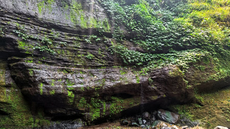natural stones with moss on the river bankの写真素材