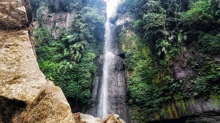 Waterfall in the middle of a pine forestの写真素材