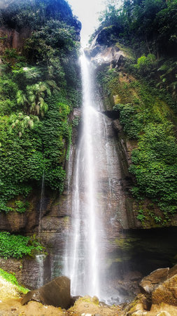 Waterfall in the middle of a pine forestの写真素材