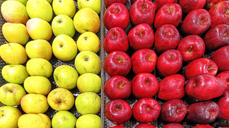 High Angle View Red and Green Organic apples fruitsの写真素材