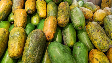 High Angle View of Sweet Papaya fruit in vegetable stallの写真素材