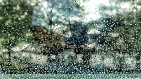 raindrops and dew on the window glassの写真素材