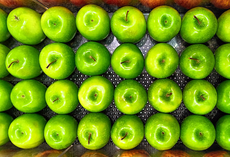 High Angle View fresh Green Organic apples fruitsの写真素材