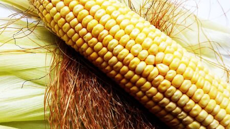 raw green corn pealed closeup image