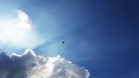 white fluffy clouds in blue sky in monsoon