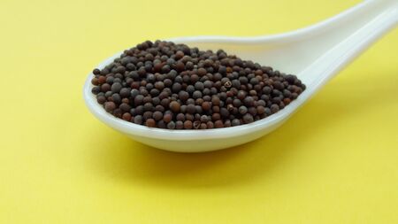 mustered seed in spoon isolated on yellow backgroundの写真素材