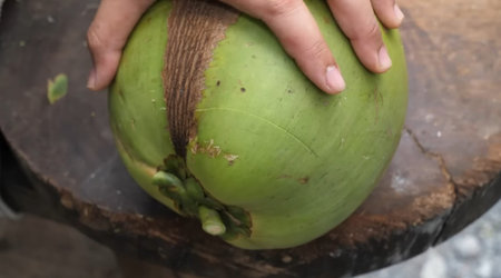 Coconut is a fruit that has a sweet taste and can be eaten raw.