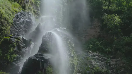 Waterfall in the forest. Waterfall in the forest. Beautiful waterfall in the forest