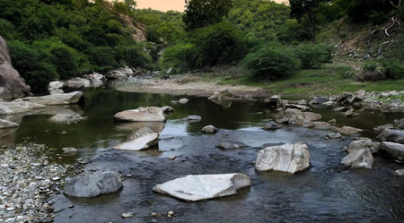 Mountain river in the middle of the forest with rocks and vegetation