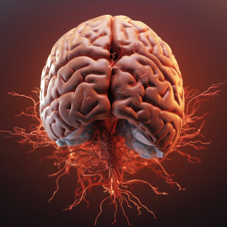 medically accurate illustration of the human brain, beautifully made with Generative AIの素材