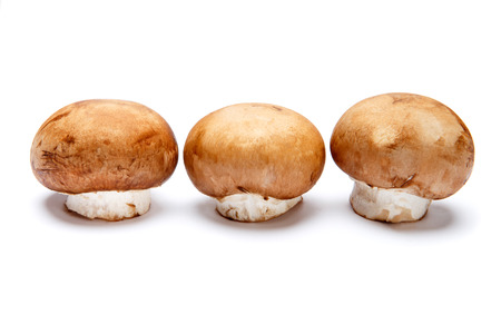 fresh champignon mushroom isolated on white backgroundの写真素材