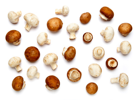 fresh champignon mushroom isolated on white backgroundの写真素材