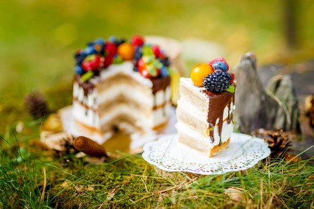 Summer berry cake on stump with fresh berriesの写真素材