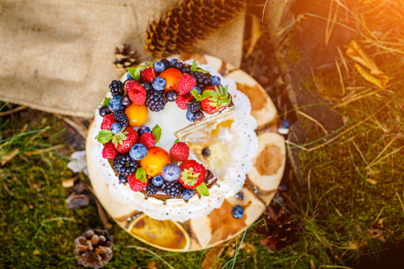 Summer berry cake on stump with fresh berriesの写真素材