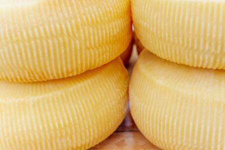 Typical italian cheese headの写真素材