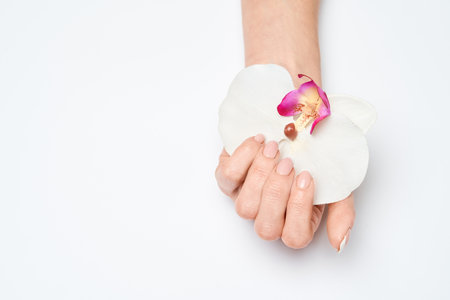 Beautiful Female Hands with French manicure over light grey backgroundの写真素材