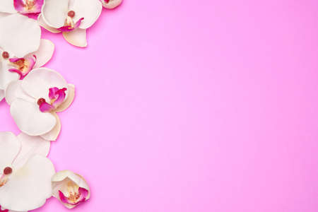 Empty frame with flowers on pink pastel background with copy spaceの写真素材