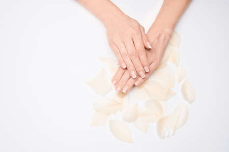 Beautiful Female Hands with French manicure and feathers over light grey backgroundの写真素材