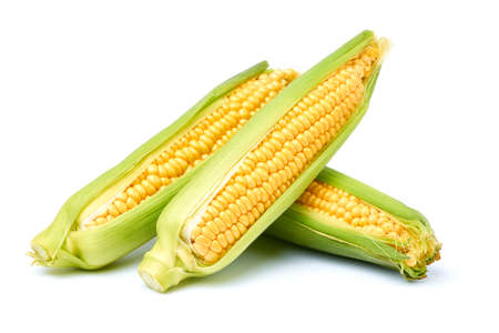 Fresh organic corn cob isolated on white background