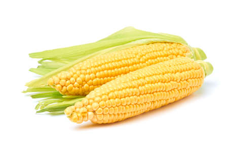 Fresh organic corn cob isolated on white background