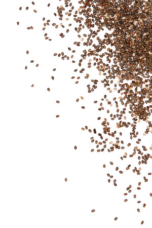Organic natural chia seeds isolated on white backgroundの写真素材