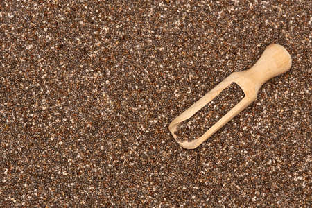 Organic natural chia seeds and wooden scoop close-upの写真素材