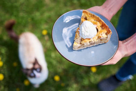Piece of Fresh homemade Traditional Apple Pie with ice cream outdoorsの写真素材
