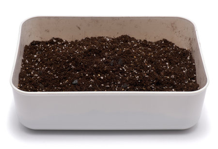 plastic box with substrate soil for transplanting houseplants isolated on white background