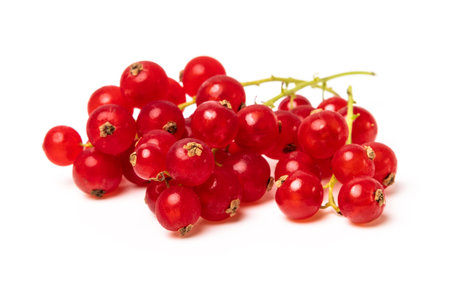 ripe tasty berries red currant isolated on white studio backgroundの写真素材