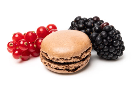 Small tasty sweet original classic macaroon cake with fresh blackberry and redcurrant on top isolated on white studio backgroundの写真素材