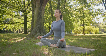 A young girl practices yoga in the park and meditates in the lotus position among the trees in a clearing on a summer dayの写真素材