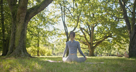 A young girl practices yoga in the park and meditates in the lotus position among the trees in a clearing on a summer dayの写真素材