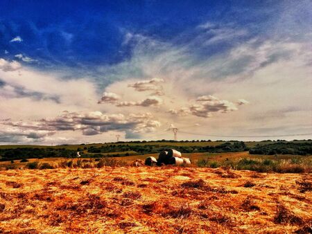 Spring landscape in Sardiniaの素材