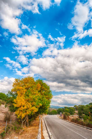 country road in an autumn afternoon with cloudy sky and treesの写真素材