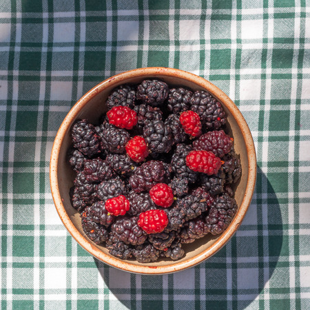 Cup full of multicolored mulberries on a table in a gardenの写真素材