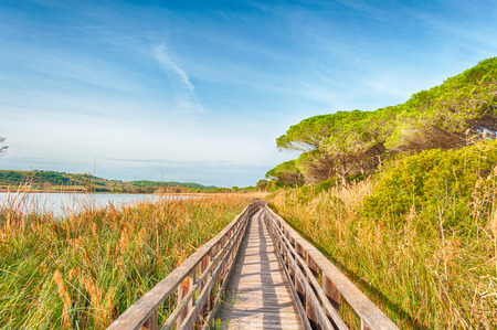Wooden bridge in the middle of pond of platamona - Sardiniaの写真素材