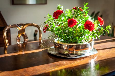 Closeup of silver flowerpot in living room on a wooden table in a sunny afternoonの写真素材