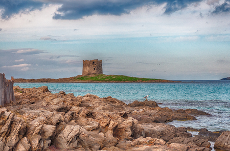 Desert beach of Stintino La Pelosa - Sardinia - in winter clody noonの写真素材