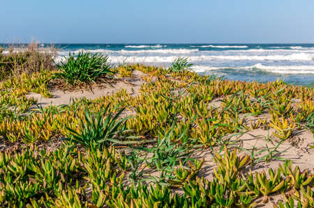 Beach with rough sea and waves in a sunny day of winterの写真素材