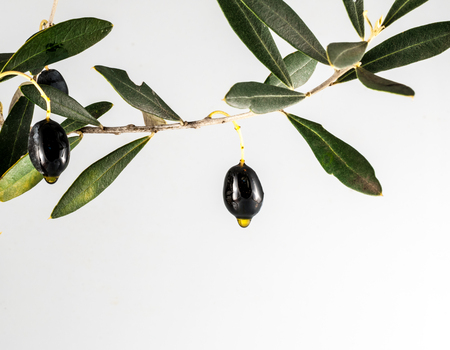 Isolated black olives and olive oil drop on white background whit copy spaceの写真素材
