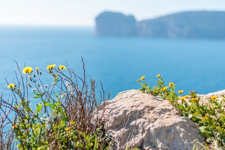 View of Capo Caccia from Punta Giglio in sunny day of springの写真素材