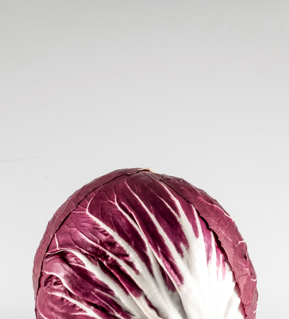 Isolated red chicory on white backgroundの写真素材