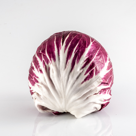 Isolated of one red chicory on white backgroundの写真素材