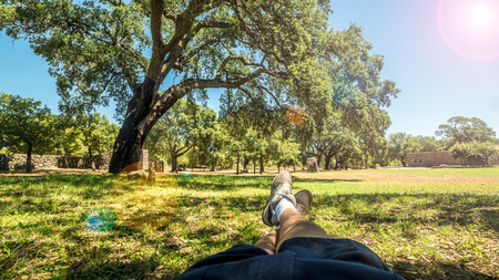White man lying in a park relaxing with lens flareの写真素材