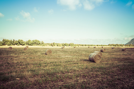 Landscape of field with bales of hay under cloudy sky of spring