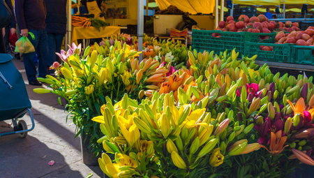 Multicolored lilies in street market in a sunny day of springの写真素材