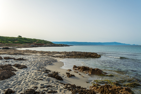 View of sardinian beach of Le Bombarde, near Alghero, in the early morning of summeroの写真素材