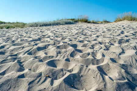 Dune of sand on the beach in summerの写真素材