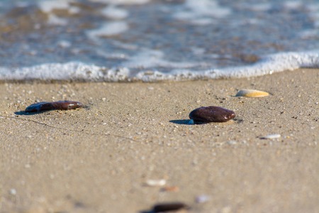 pebbles on the beach near the waterの写真素材