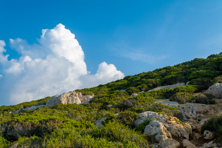 hill with Mediterranean scrub in a sunny day with blue cloudy skyの写真素材